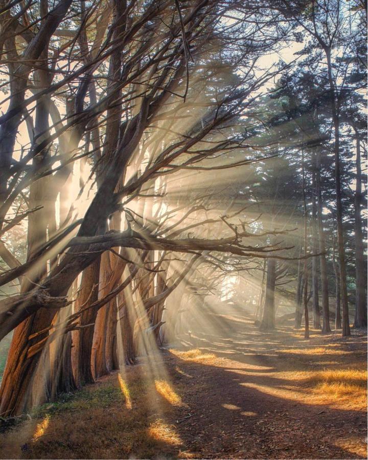 Montara Stunning Oceanview Coastal Home Beach Trails Family Activities מראה חיצוני תמונה